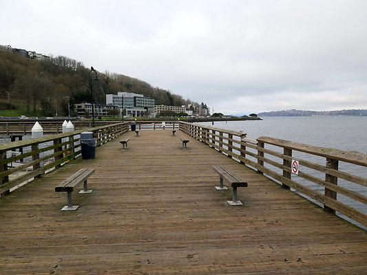 Seattle Alki Waterfront Aspen - 43