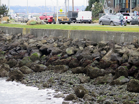 Seattle Alki Waterfront Aspen - 141