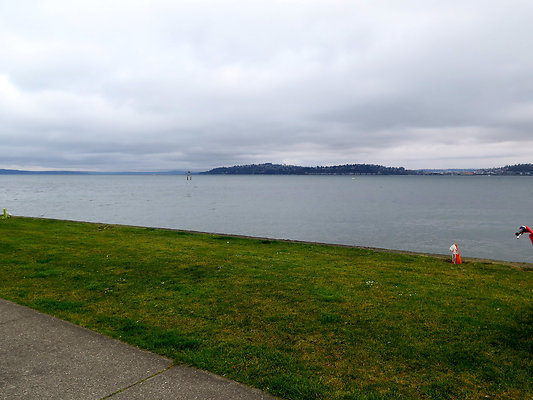 Seattle Alki Waterfront Aspen - 148