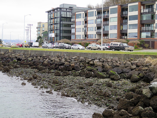 Seattle Alki Waterfront Aspen - 134