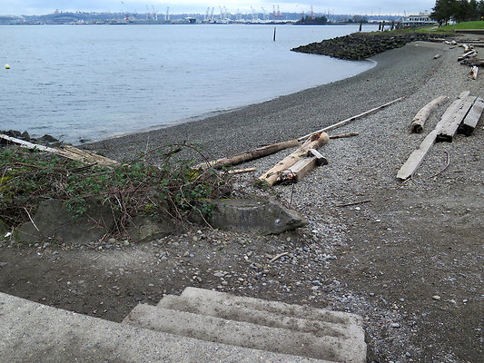 Seattle Alki Waterfront Aspen - 50