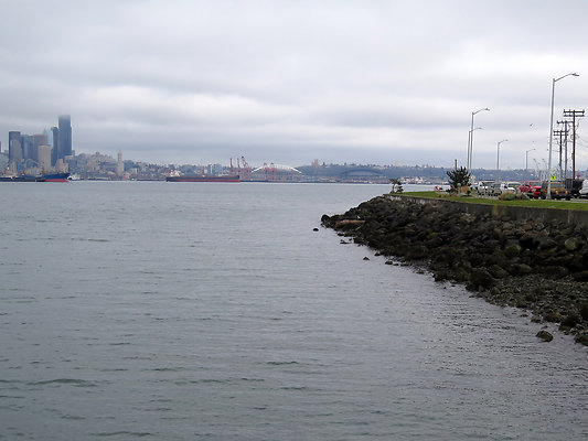Seattle Alki Waterfront Aspen - 133