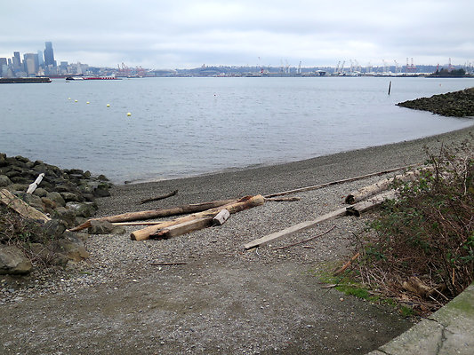 Seattle Alki Waterfront Aspen - 49
