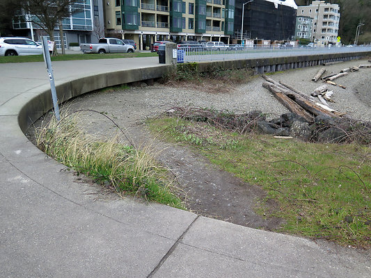 Seattle Alki Waterfront Aspen - 68