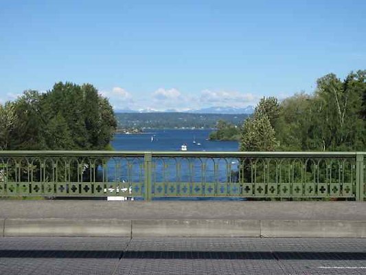 montlake17