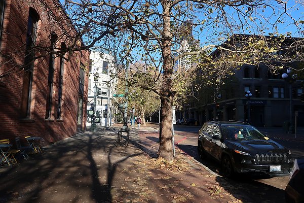 PioneerSquare streetlevel - 140