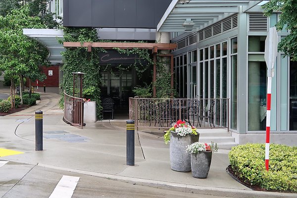 102nd Ave NE Bellevue streets 2025 - 21