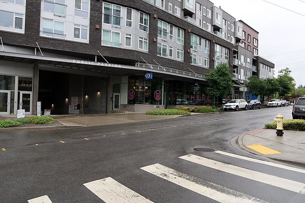 102nd Ave NE Bellevue streets 2025 - 57