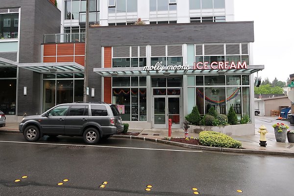 102nd Ave NE Bellevue streets 2025 - 11