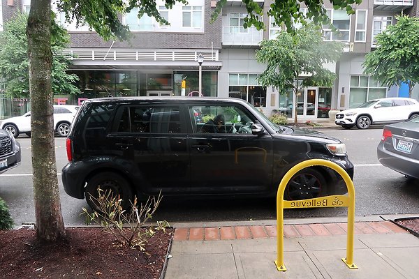 102nd Ave NE Bellevue streets 2025 - 49