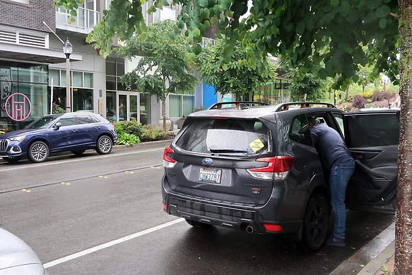 102nd Ave NE Bellevue streets 2025 - 50