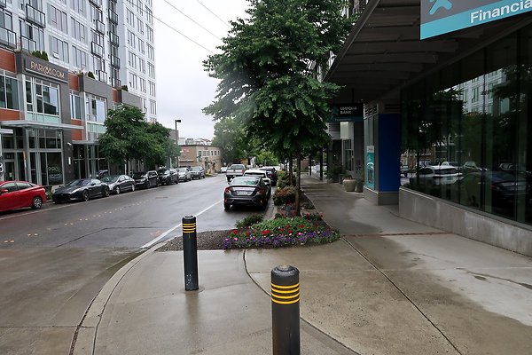 102nd Ave NE Bellevue streets 2025 - 26