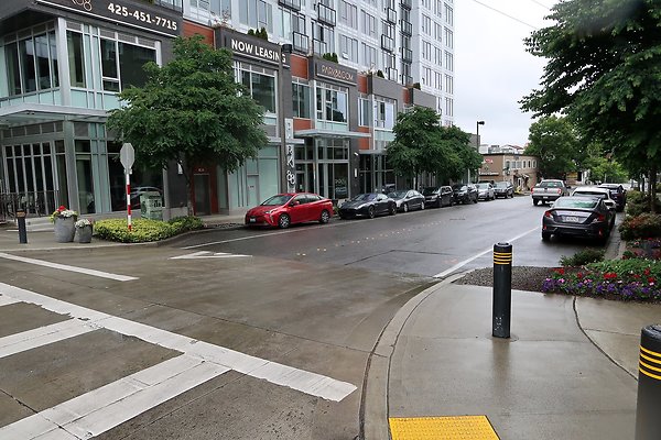 102nd Ave NE Bellevue streets 2025 - 25