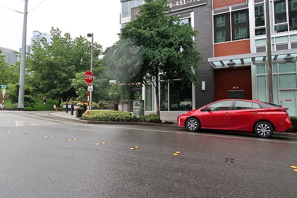 102nd Ave NE Bellevue streets 2025 - 17