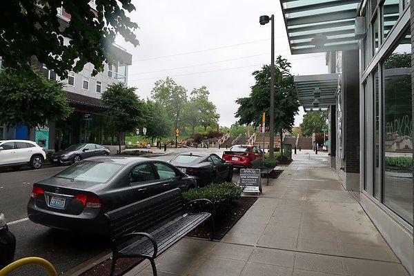 102nd Ave NE Bellevue streets 2025 - 48
