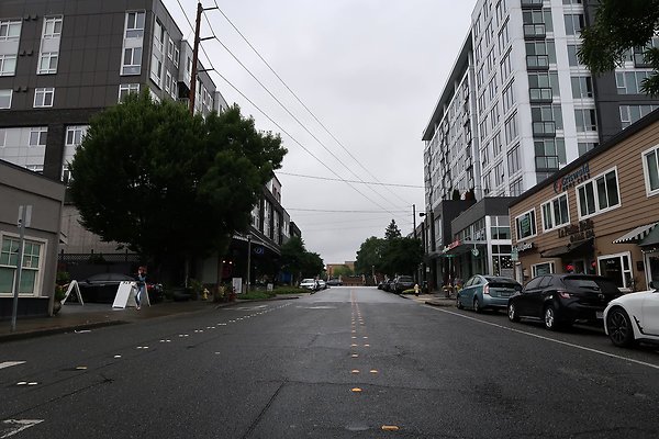 102nd Ave NE Bellevue streets 2025 - 2