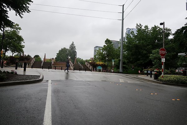 102nd Ave NE Bellevue streets 2025 - 16