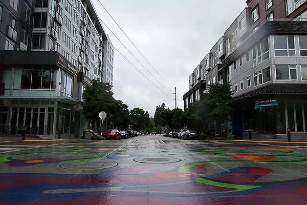 102nd Ave NE Bellevue streets 2025 - 34