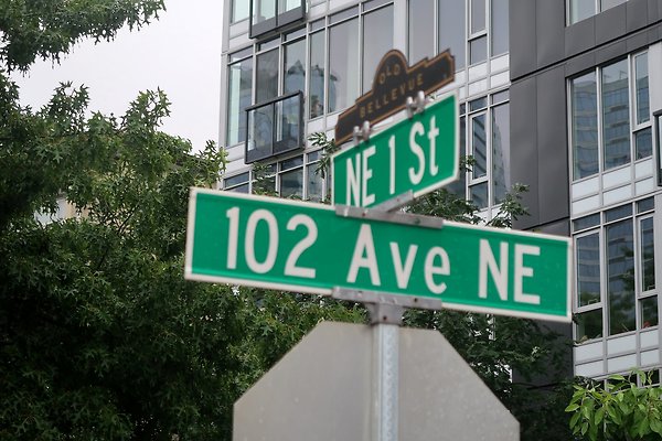 102nd Ave NE Bellevue streets 2025 - 42