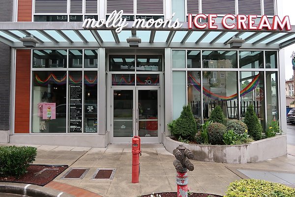 102nd Ave NE Bellevue streets 2025 - 56