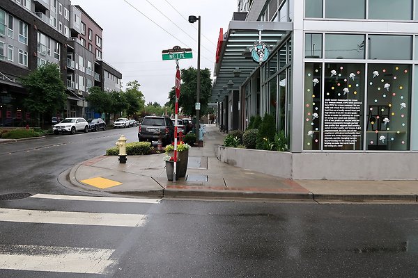 102nd Ave NE Bellevue streets 2025 - 58