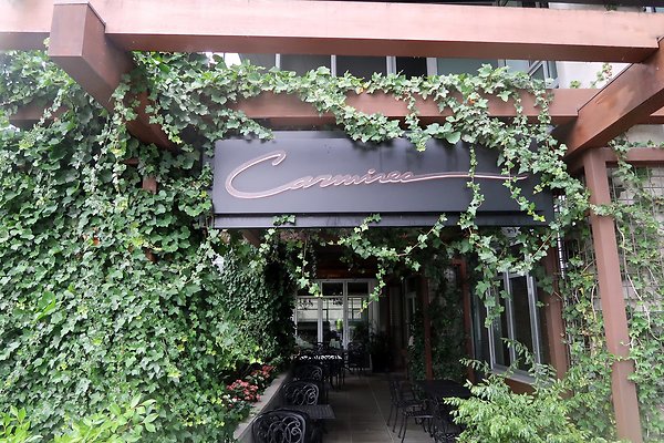 102nd Ave NE Bellevue streets 2025 - 44