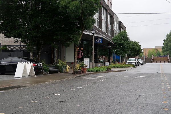 102nd Ave NE Bellevue streets 2025 - 3