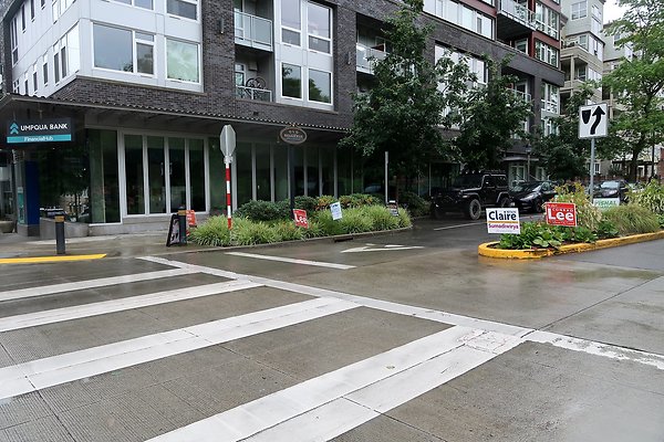102nd Ave NE Bellevue streets 2025 - 30