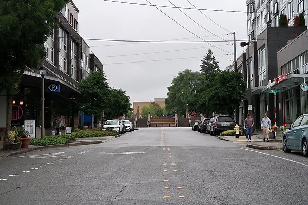 102nd Ave NE Bellevue streets 2025 - 4