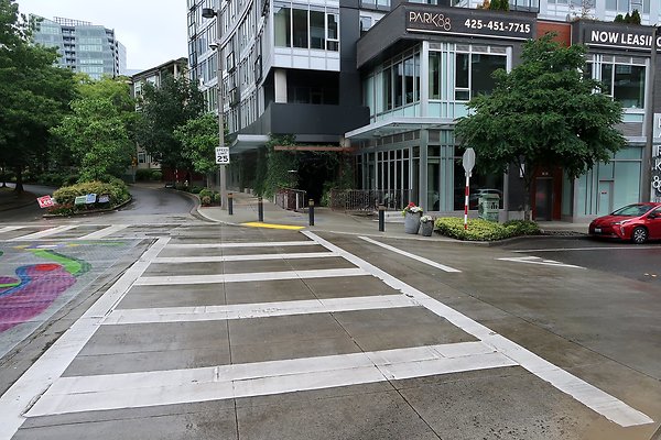 102nd Ave NE Bellevue streets 2025 - 24