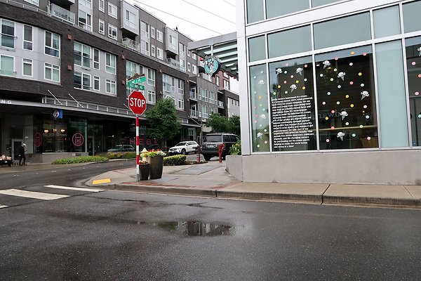 102nd Ave NE Bellevue streets 2025 - 60