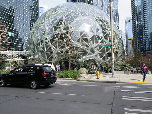 6th 7th Amazon - 37