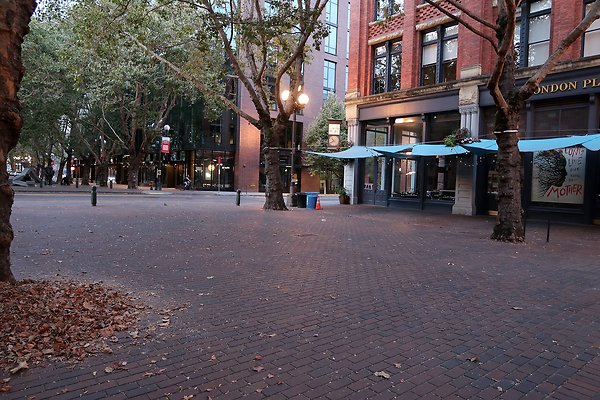 Occidental Square pioneer Square - 124
