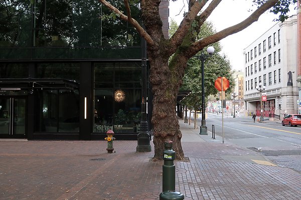 Occidental Square pioneer Square - 84