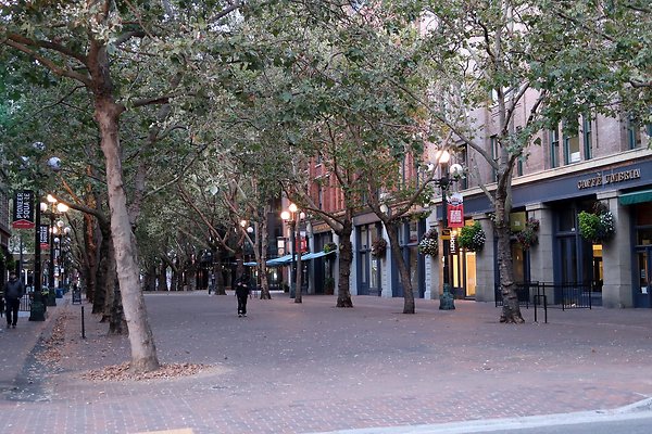 Occidental Square pioneer Square - 104