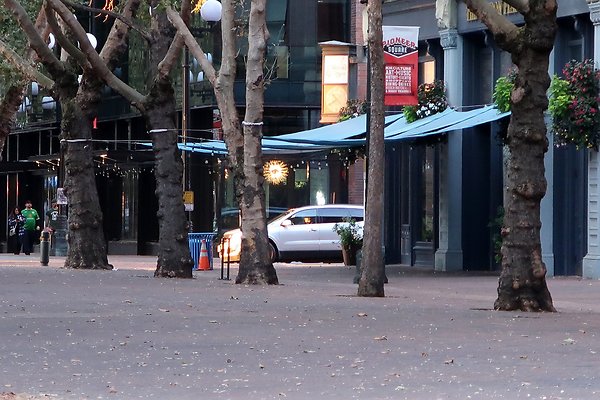 Occidental Square pioneer Square - 99