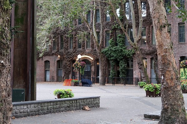 Occidental Square pioneer Square - 13