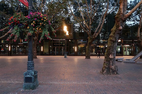 Occidental Square pioneer Square - 153