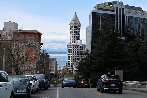 Yessler Overlook - 2