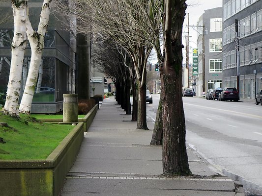 Elliott ave streets - 118