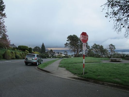 MagnoliaBlvd06