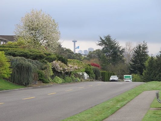 MagnoliaBlvd46
