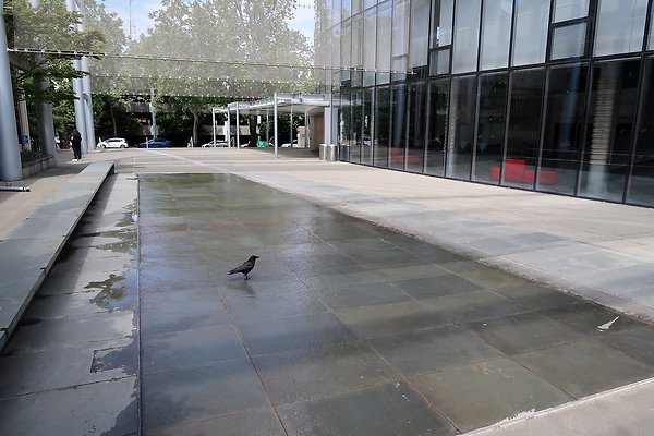 McCaw Hall Ext car placemennt 2025 - 71