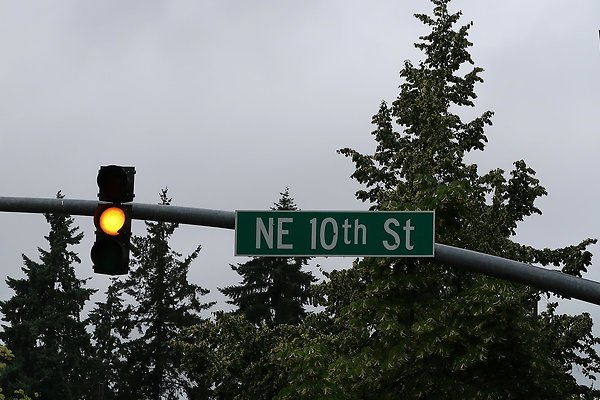 110th Ave NE Bellevue streets 2025