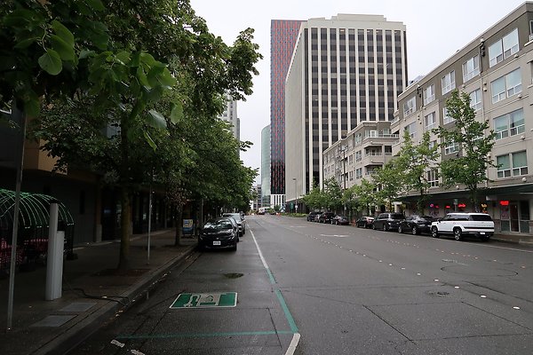 110th Ave NE Bellevue streets 2025 - 3