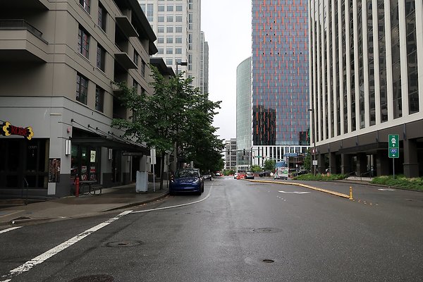 110th Ave NE Bellevue streets 2025 - 18