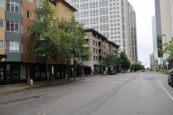 110th Ave NE Bellevue streets 2025 - 8