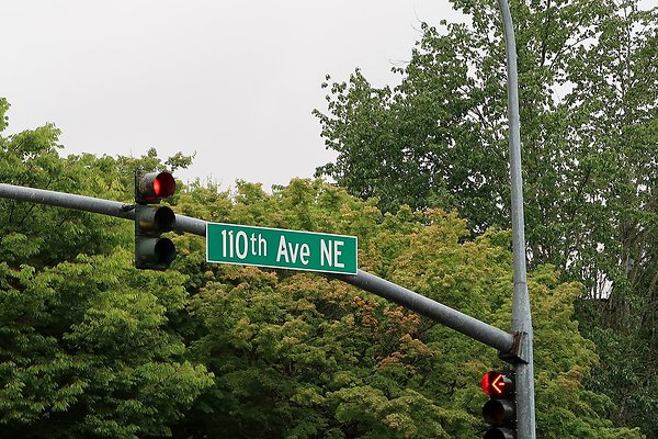 110th Ave NE Bellevue streets 2025 - 2