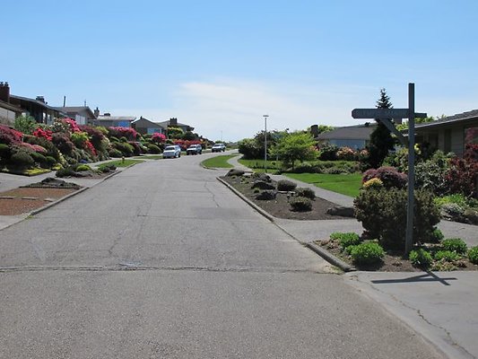 OlyManor5