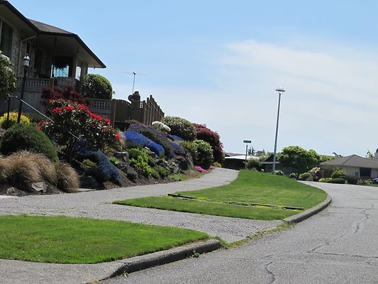 OlyManor11